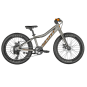 ROXTER 20 SILVER