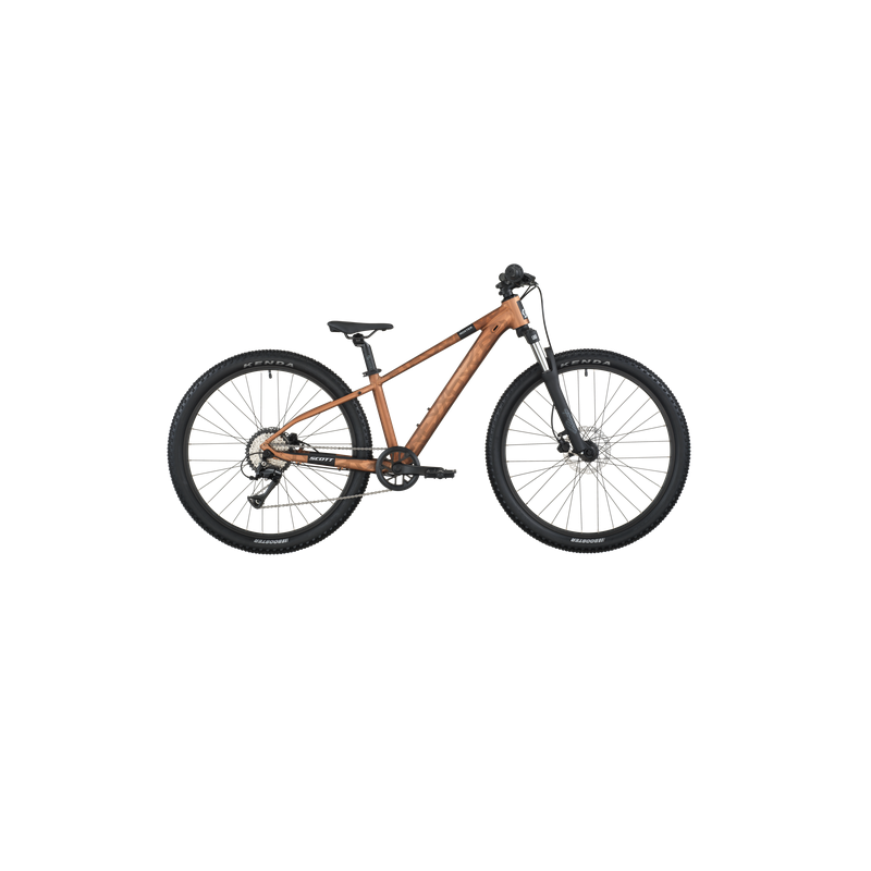 ROXTER 600