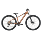 ROXTER 600